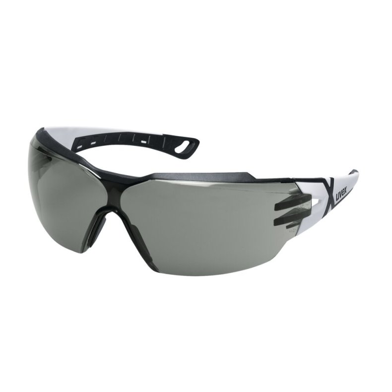 Beskyttelsesbrille, Uvex Pheos cx2, One size, gr�, PC, flergangs