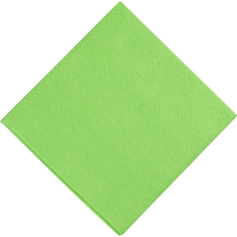 Alt-mulig-klud, 38x38cm, gr�n, PP/viskose, perforeret, 125g